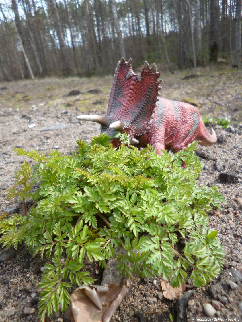 Уртаг: яд Хорта (3 часть серии "Уртаг") (фото 2)