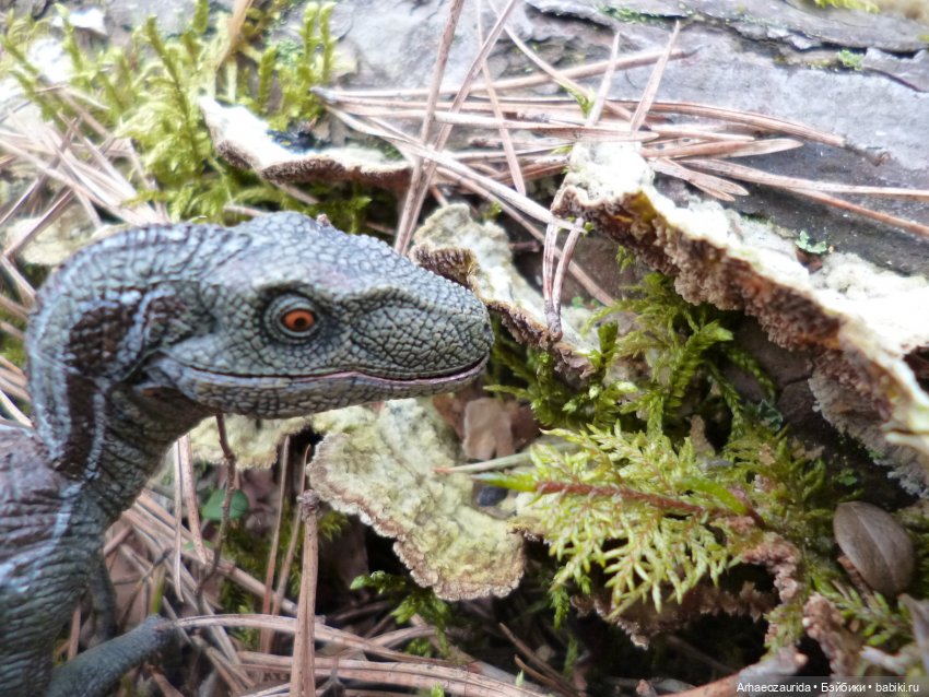 Уртаг: яд Хорта (3 часть серии "Уртаг")