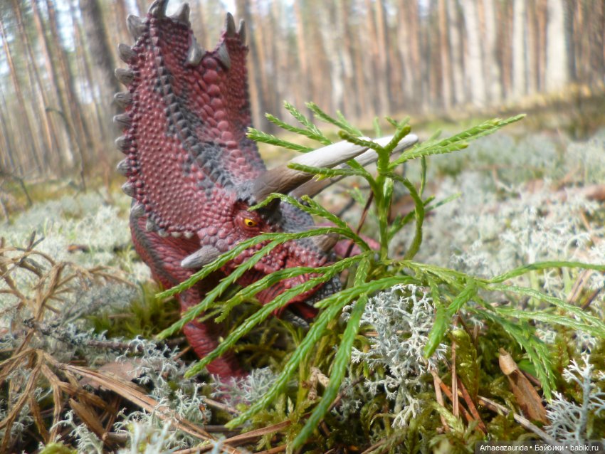 Уртаг: яд Хорта (3 часть серии "Уртаг") (фото 4)