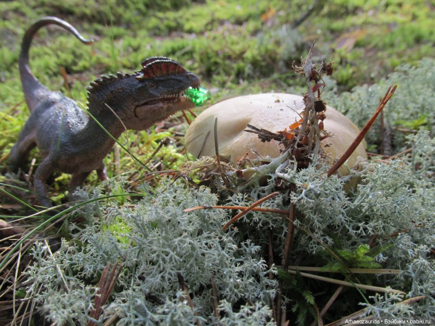 Уртаг: западня (4 часть серии "Уртаг")