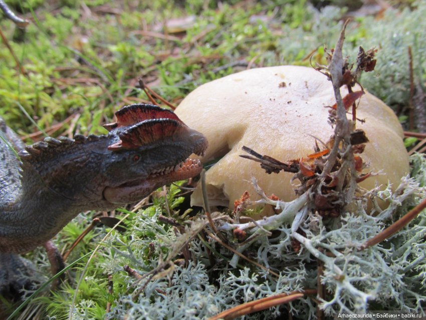 Уртаг: западня (4 часть серии "Уртаг")