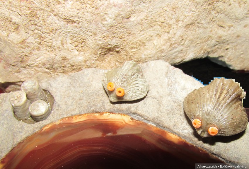 Наблюдатели: на борту (продолжение серии «Уртаг») (фото 7)