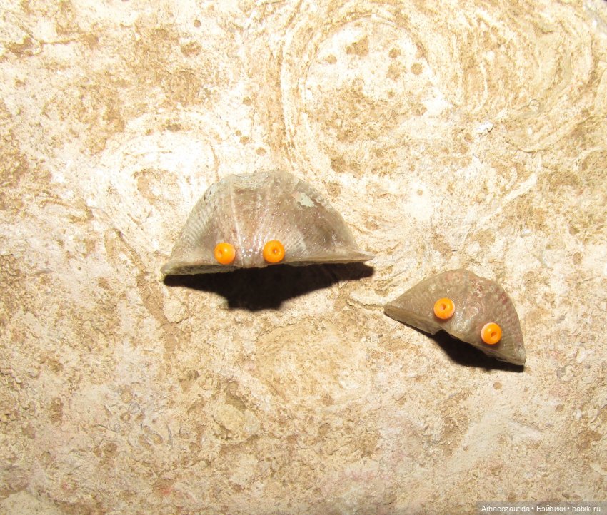 Наблюдатели: на борту (продолжение серии «Уртаг») (фото 2)