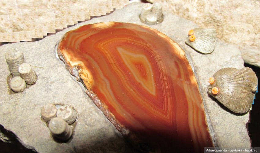 Наблюдатели: на борту (продолжение серии «Уртаг») (фото 6)