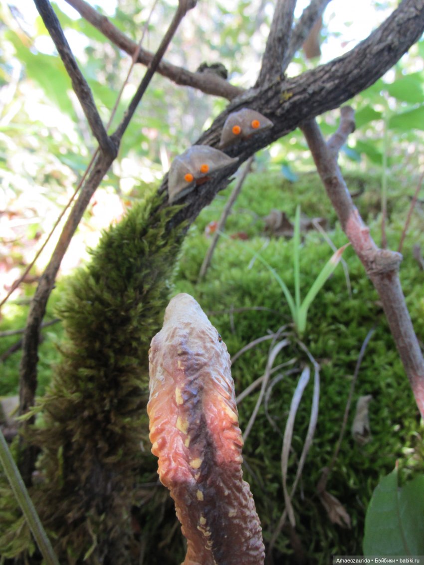 Наблюдатели: контакт (продолжение серии «Уртаг») (фото 10)