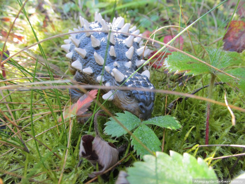 Наблюдатели: контакт (продолжение серии «Уртаг») (фото 5)