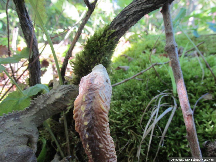 Наблюдатели: контакт (продолжение серии «Уртаг»)