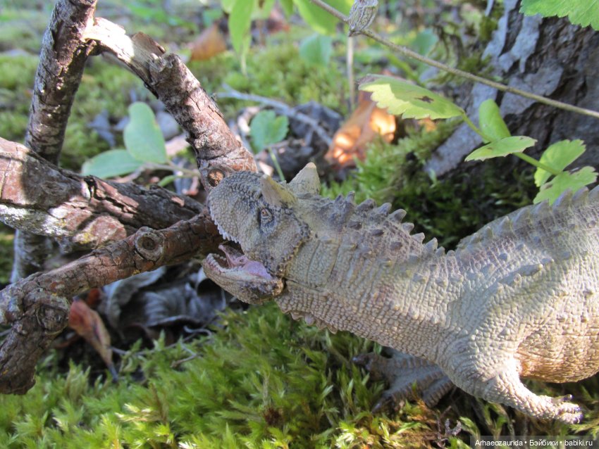 Наблюдатели: контакт (продолжение серии «Уртаг»)