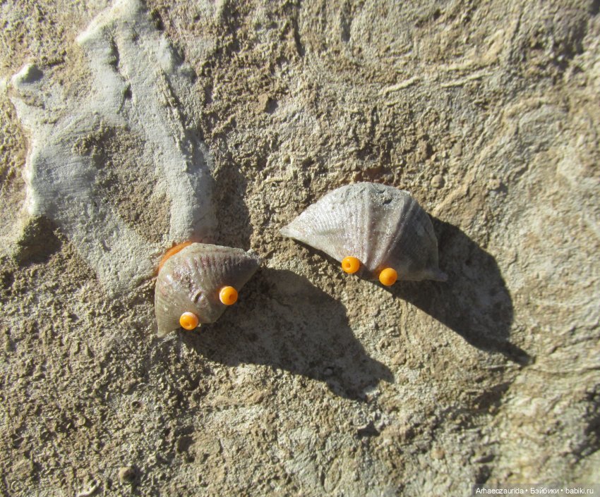 Наблюдатели: контакт (продолжение серии «Уртаг»)