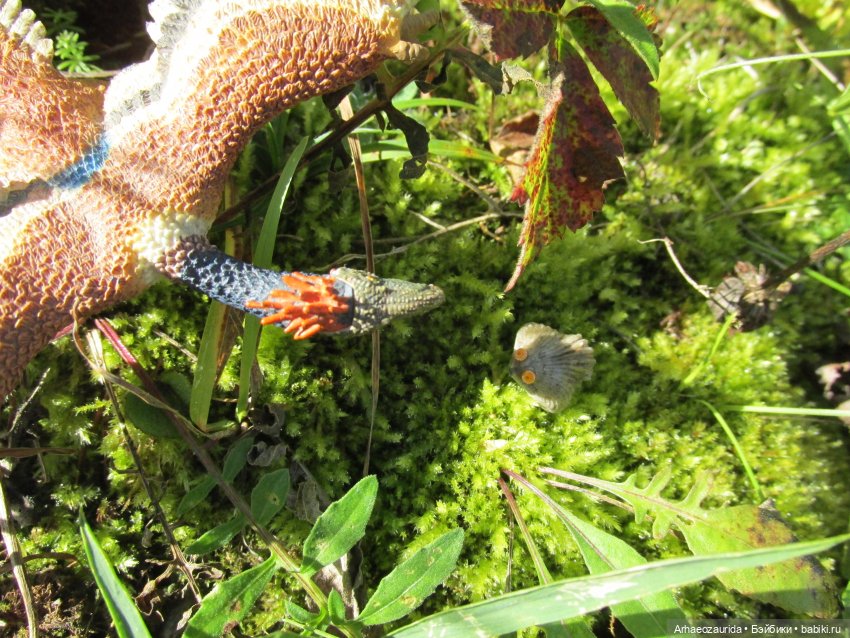 Наблюдатели: контакт (продолжение серии «Уртаг») (фото 3)