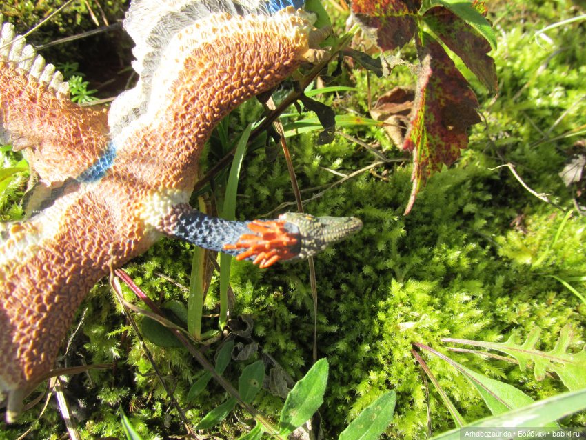 Наблюдатели: контакт (продолжение серии «Уртаг») (фото 4)