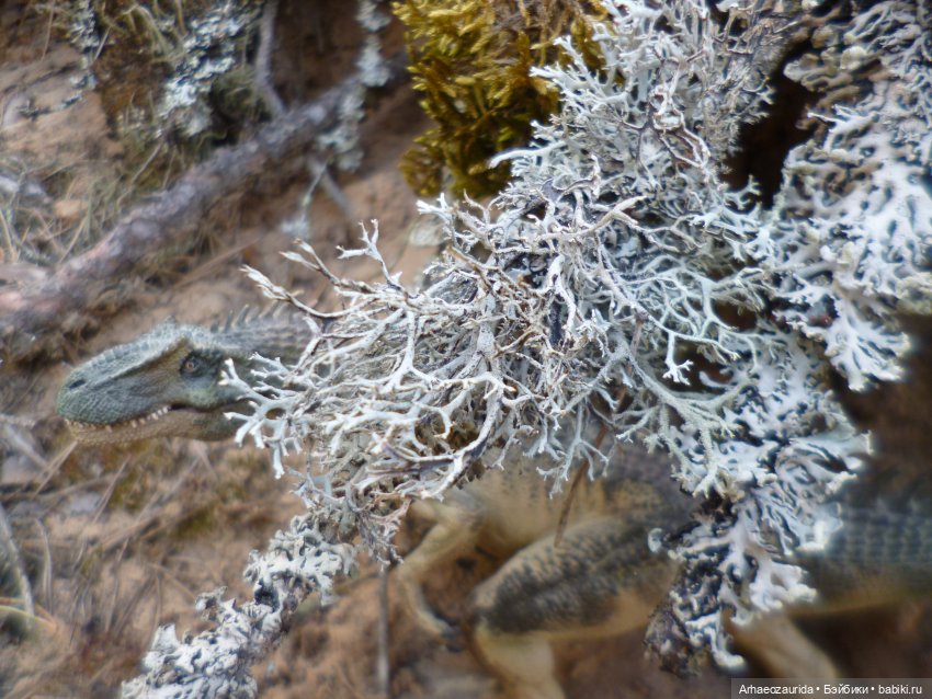 Ящеры в лесу: весеннее томление (фото 4)