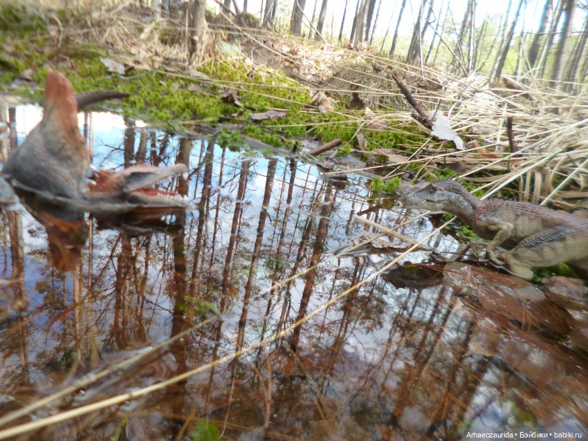 Ящеры в лесу: весеннее томление