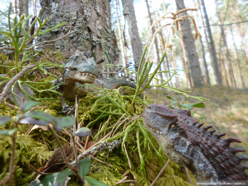 Ящеры в лесу: весеннее томление