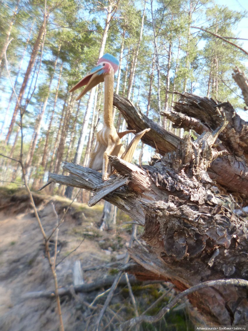 Ящеры в лесу: весеннее томление