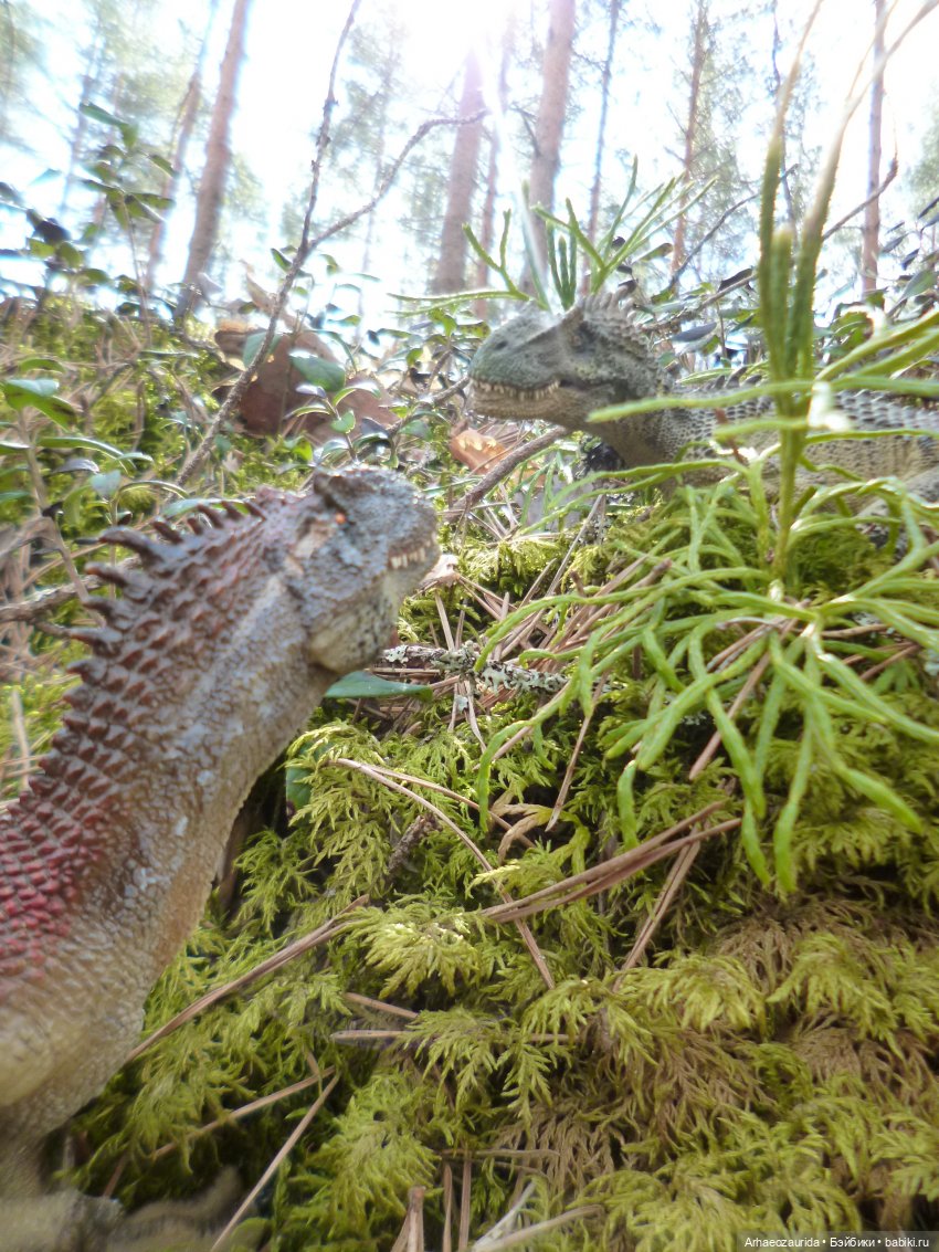 Ящеры в лесу: весеннее томление