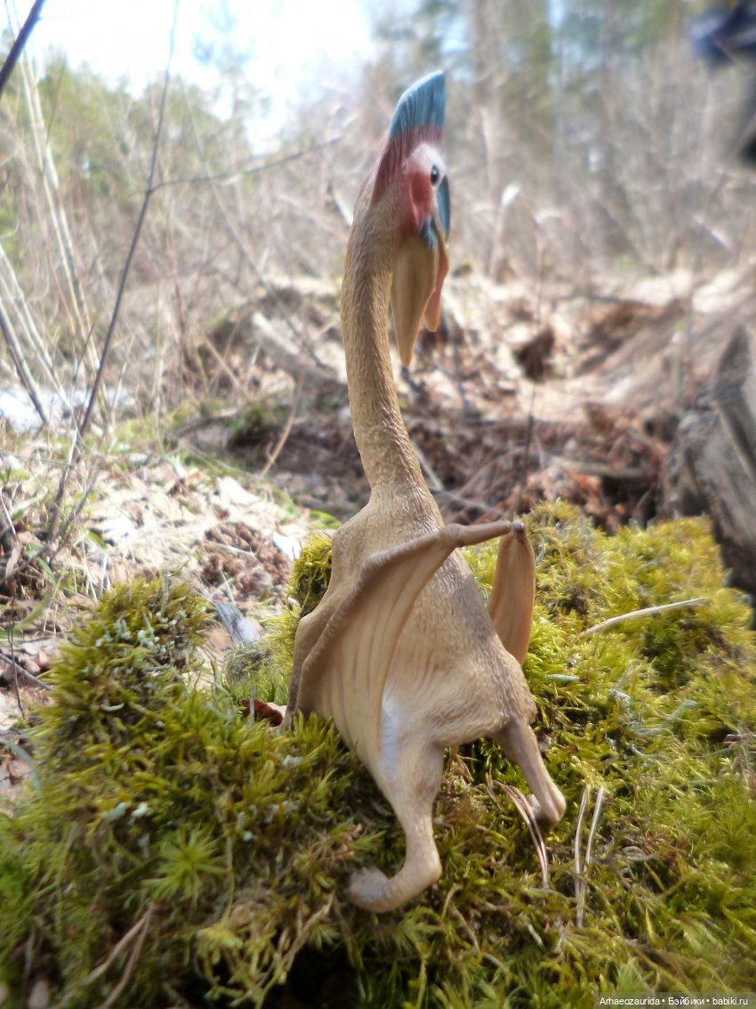 Ящеры в лесу: весеннее томление (фото 7)