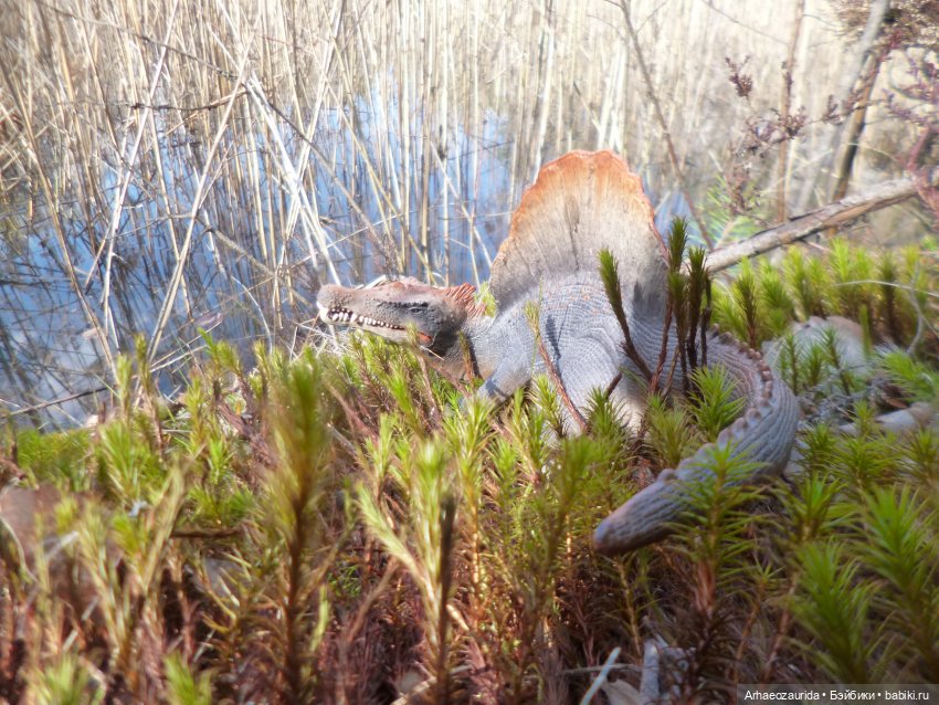 Ящеры в лесу: весеннее томление (фото 3)