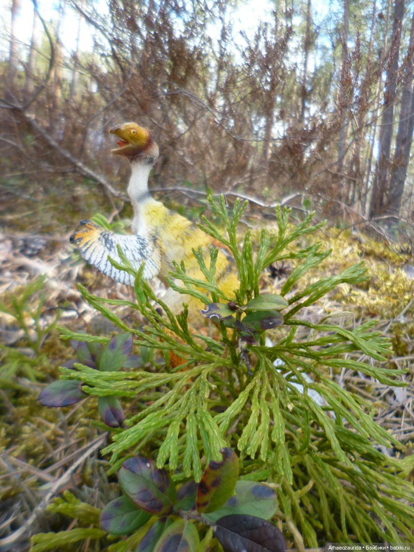 Ящеры в лесу: весеннее томление