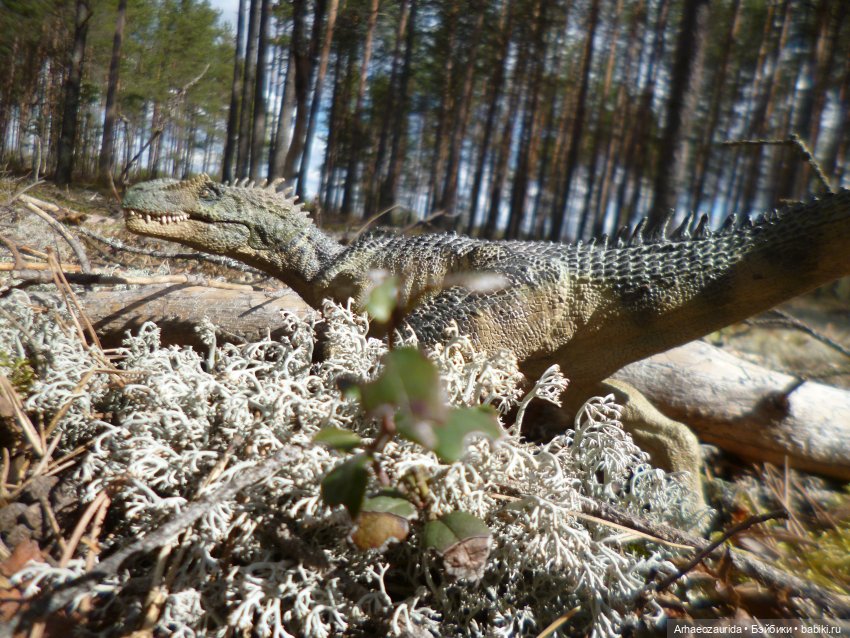 Ящеры в лесу: весеннее томление