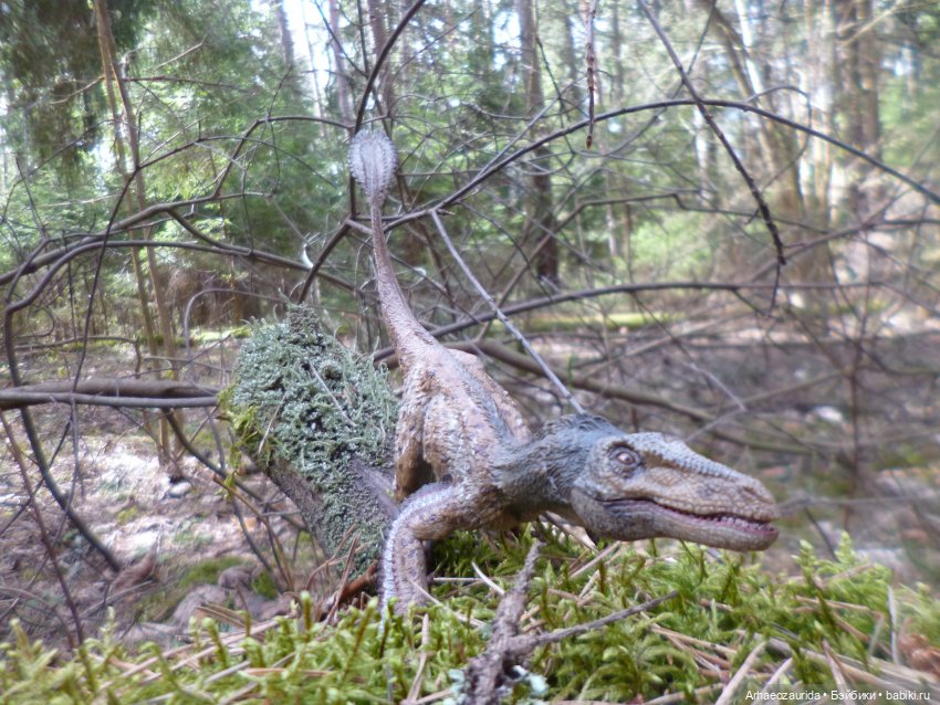 Ящеры в лесу: Река Мостов (фото 4)