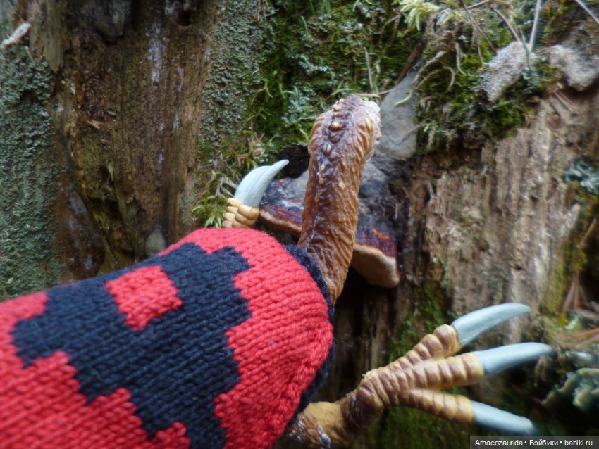 Ящеры в лесу: Река Мостов (фото 7)