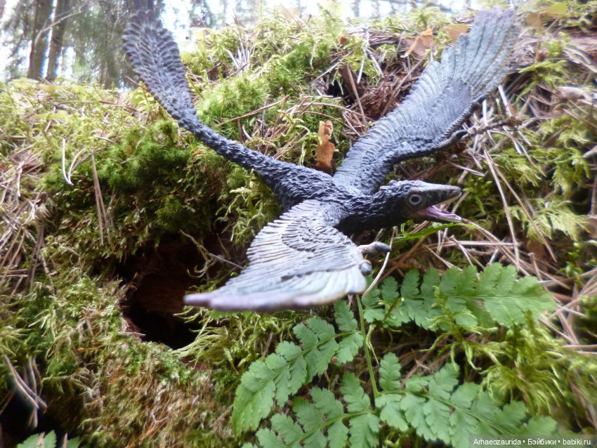 Ящеры в лесу: Река Мостов (фото 6)