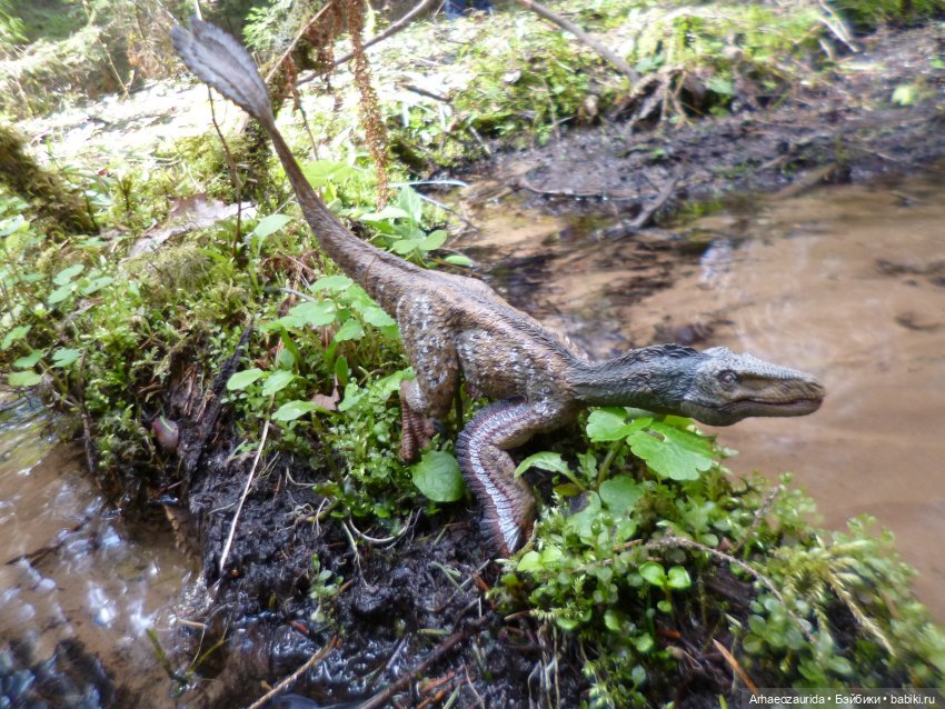 Ящеры в лесу: Река Мостов (фото 9)