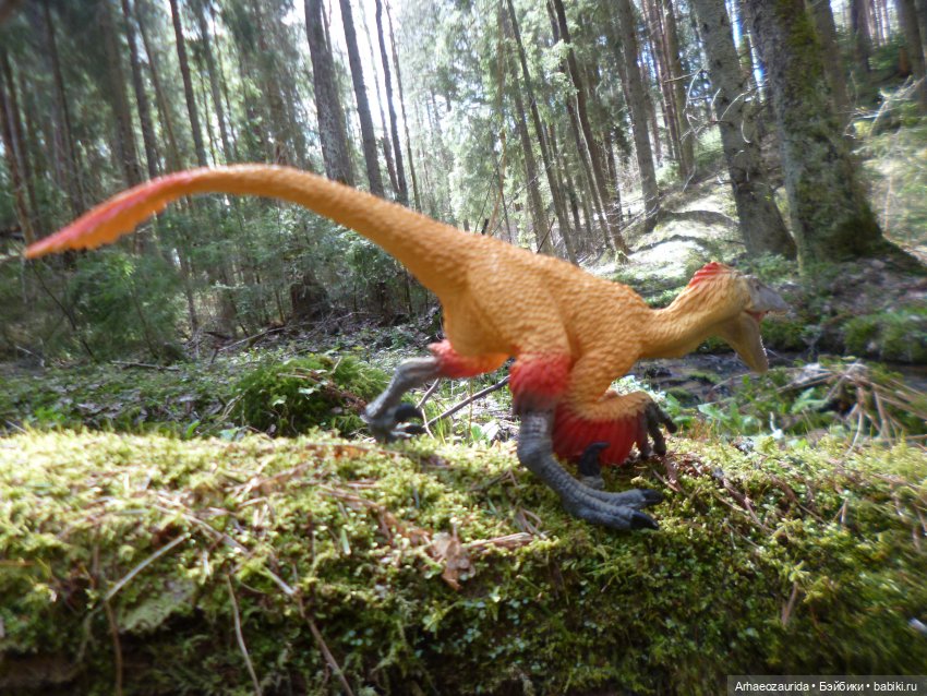 Ящеры в лесу: Река Мостов (фото 5)