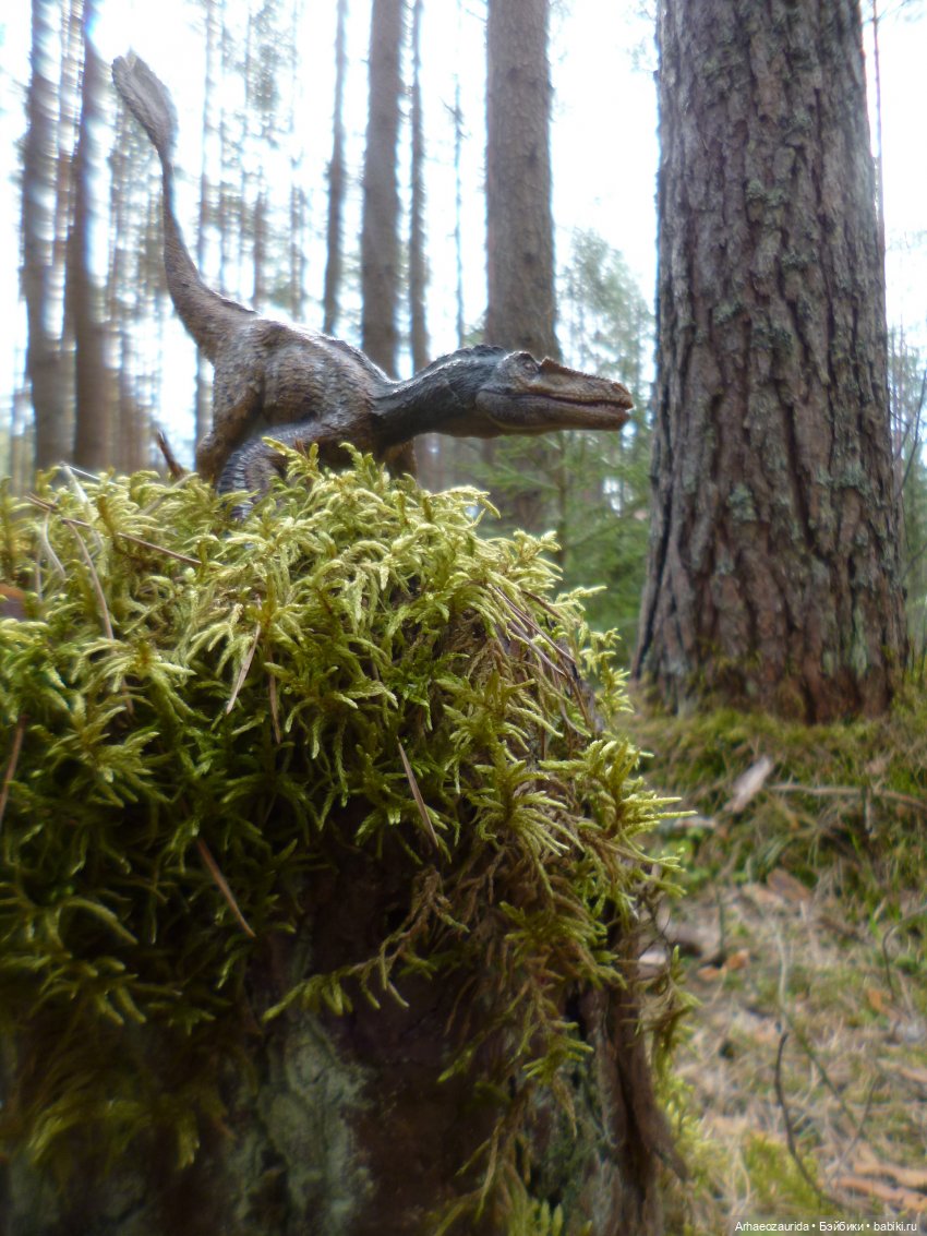 Ящеры в лесу: непростая добыча (часть 1) (фото 10)