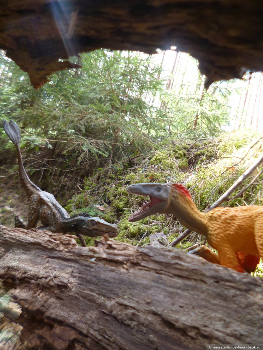 Ящеры в лесу: непростая добыча (часть 1) (фото 9)