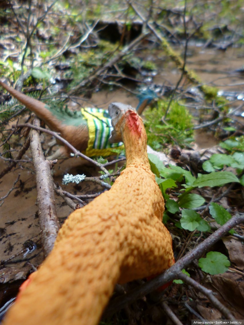 Ящеры в лесу: непростая добыча (часть 1) (фото 6)