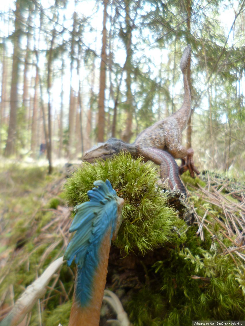 Ящеры в лесу: непростая добыча (часть 2) (фото 2)