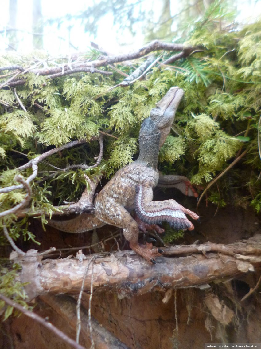 Ящеры в лесу: непростая добыча (часть 2) (фото 10)