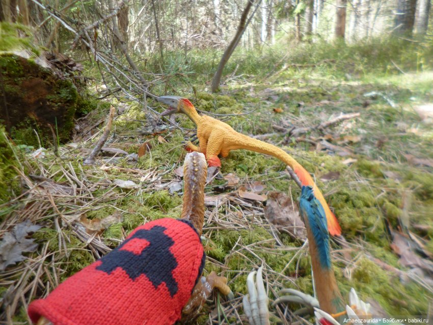 Ящеры в лесу: непростая добыча (часть 2) (фото 6)