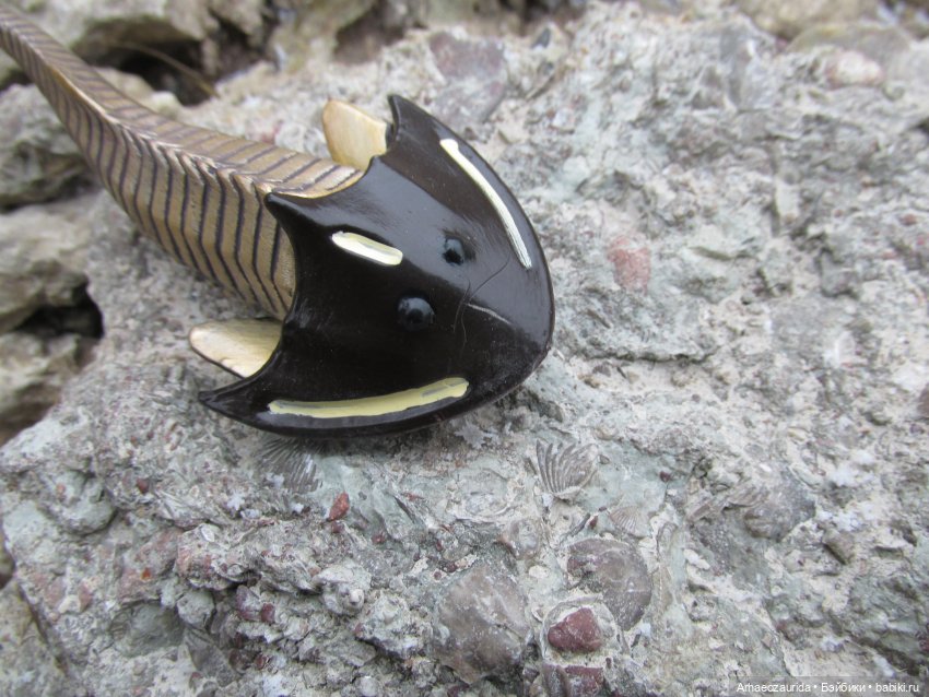 Новичок в коллекции: ноябрьский Цефаласпис (фото 3)