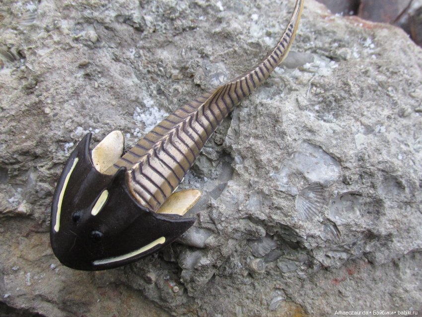 Новичок в коллекции: ноябрьский Цефаласпис (фото 5)