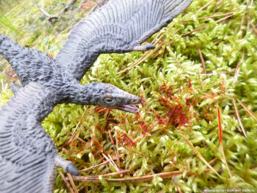 Ящеры в лесу: раненый раптор | Бэйбики Ящеры в лесу: раненый раптор (фото 4)