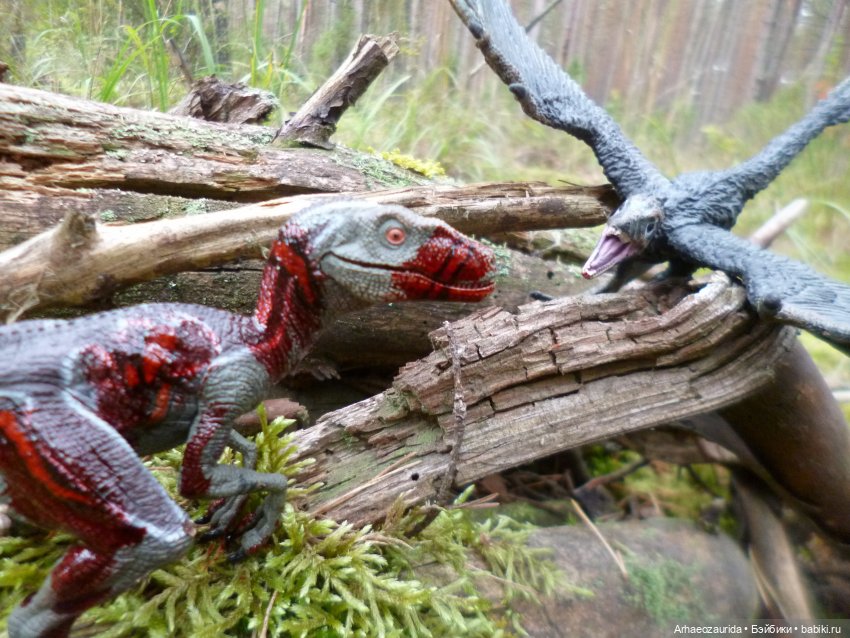 Ящеры в лесу: раненый раптор (фото 7)