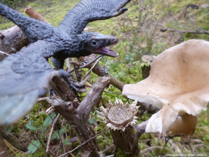 Ящеры в лесу: раненый раптор | Бэйбики Ящеры в лесу: раненый раптор