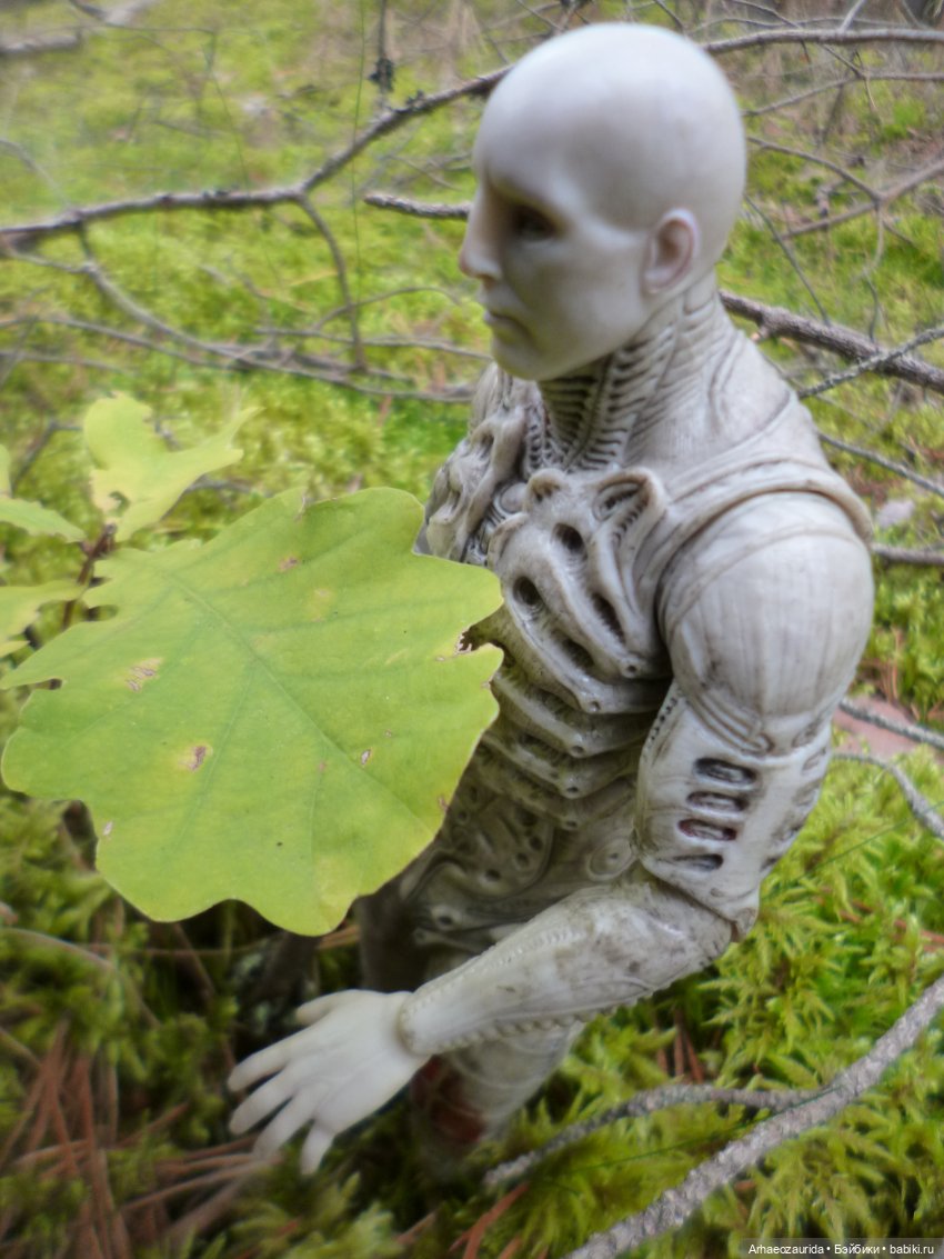 Ящеры в лесу: пришелец (часть 2)