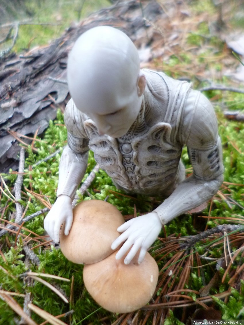 Ящеры в лесу: пришелец (часть 2)