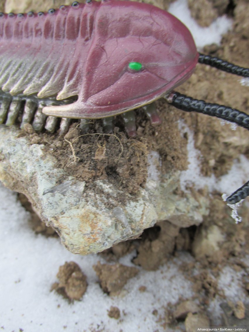 Новичок в коллекции: декабрьский Трилобит | Бэйбики Новичок в коллекции: декабрьский Трилобит (фото 7)
