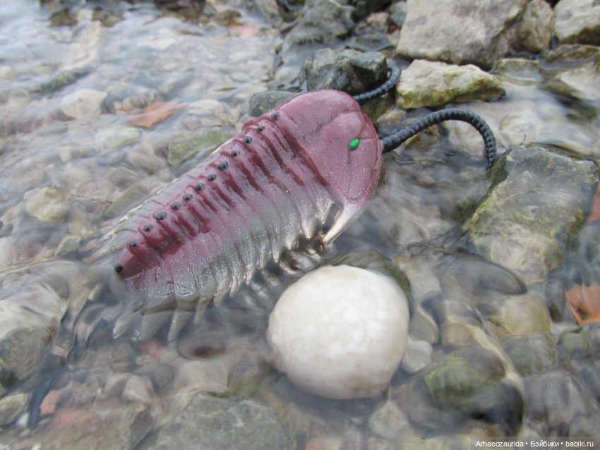 Новичок в коллекции: декабрьский Трилобит | Бэйбики Новичок в коллекции: декабрьский Трилобит