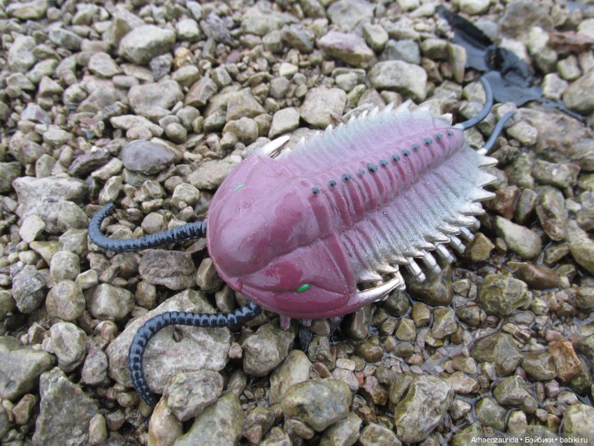 Новичок в коллекции: декабрьский Трилобит | Бэйбики Новичок в коллекции: декабрьский Трилобит (фото 8)