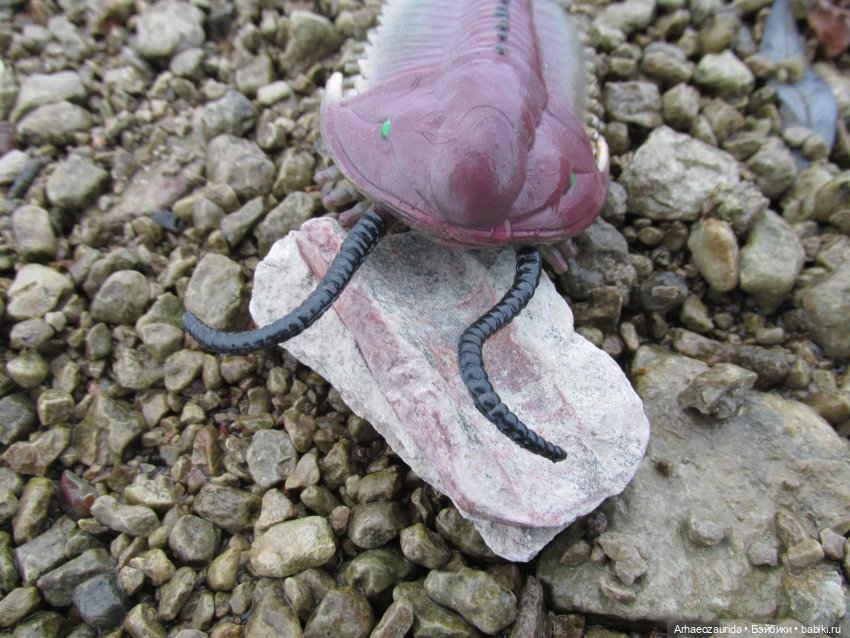 Новичок в коллекции: декабрьский Трилобит | Бэйбики Новичок в коллекции: декабрьский Трилобит (фото 9)