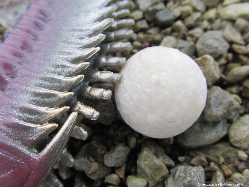 Новичок в коллекции: декабрьский Трилобит | Бэйбики Новичок в коллекции: декабрьский Трилобит