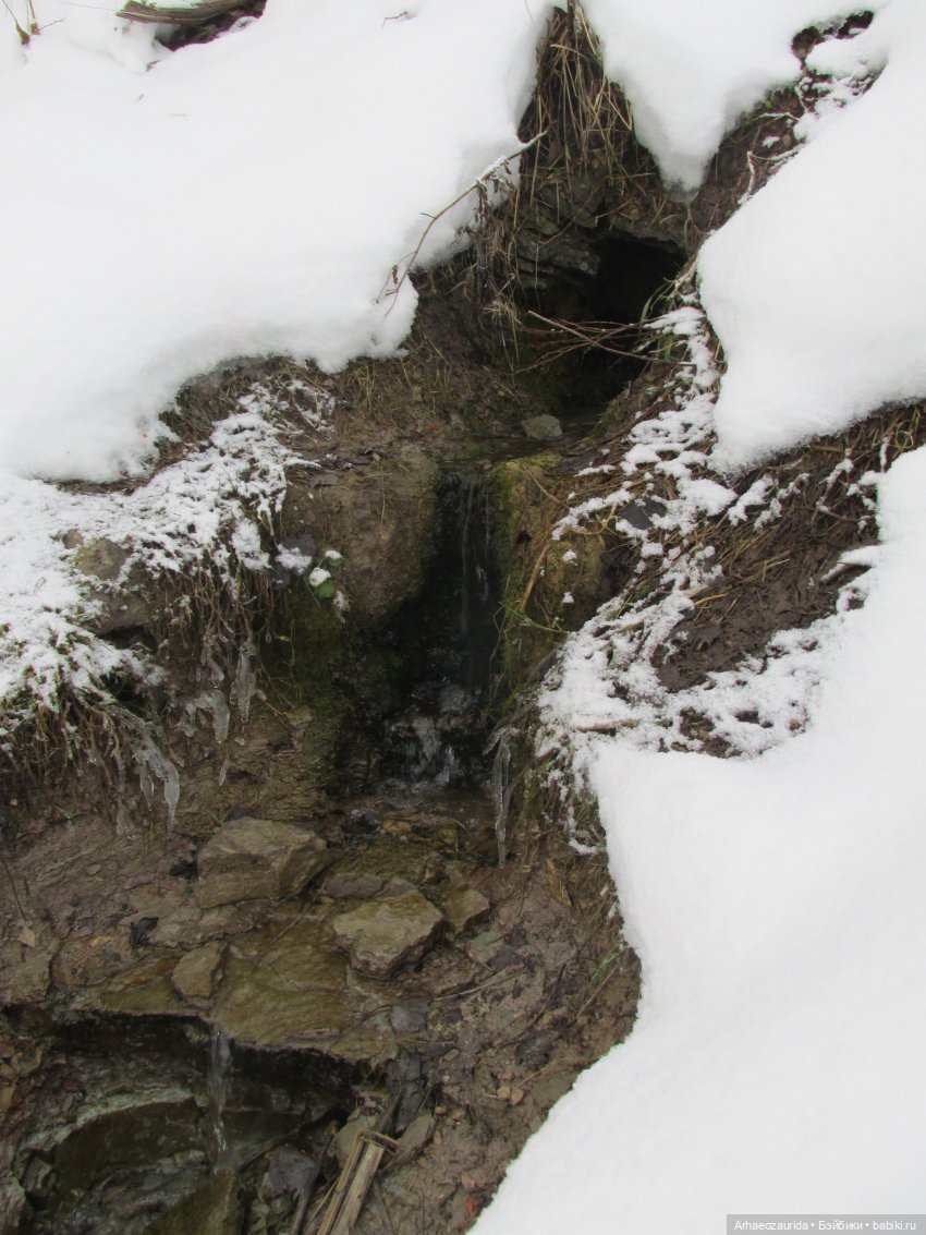 Новичок в коллекции: декабрьский Трилобит | Бэйбики Новичок в коллекции: декабрьский Трилобит (фото 3)