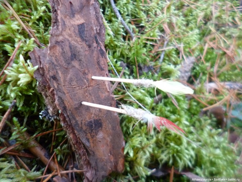 Ящеры в лесу: Кейнес против рапторов (часть 1) (фото 10)