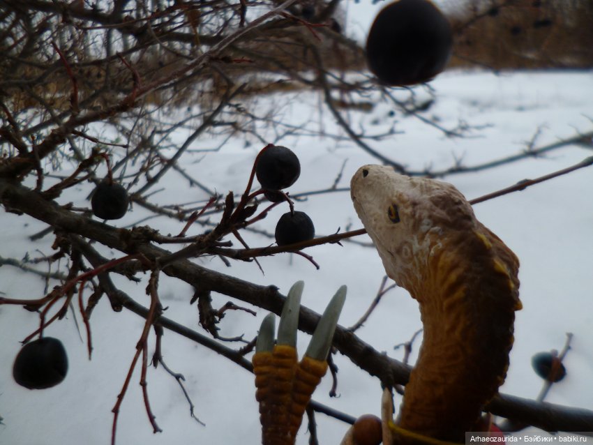 Ящеры у реки: древние руины (фото 8)